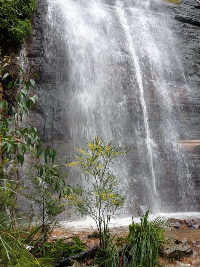 Halls Gap Motel Dış mekan fotoğraf