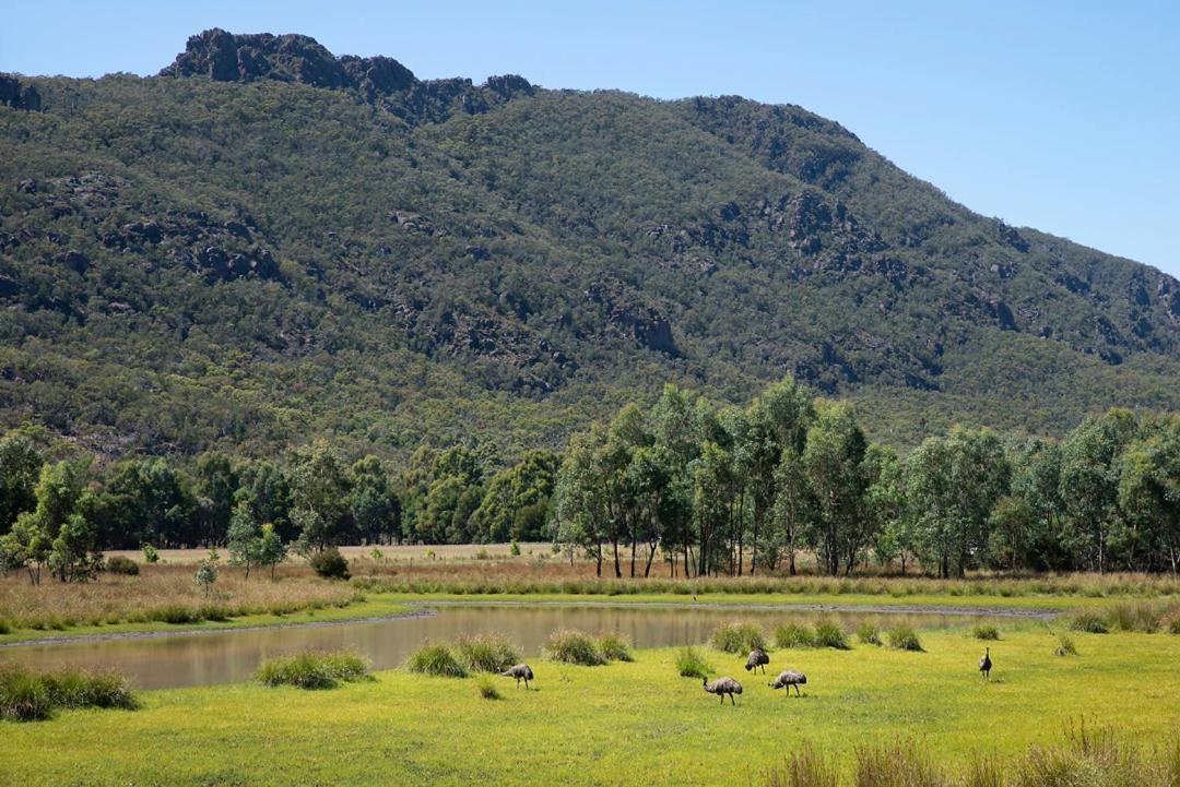 Halls Gap Motel Dış mekan fotoğraf