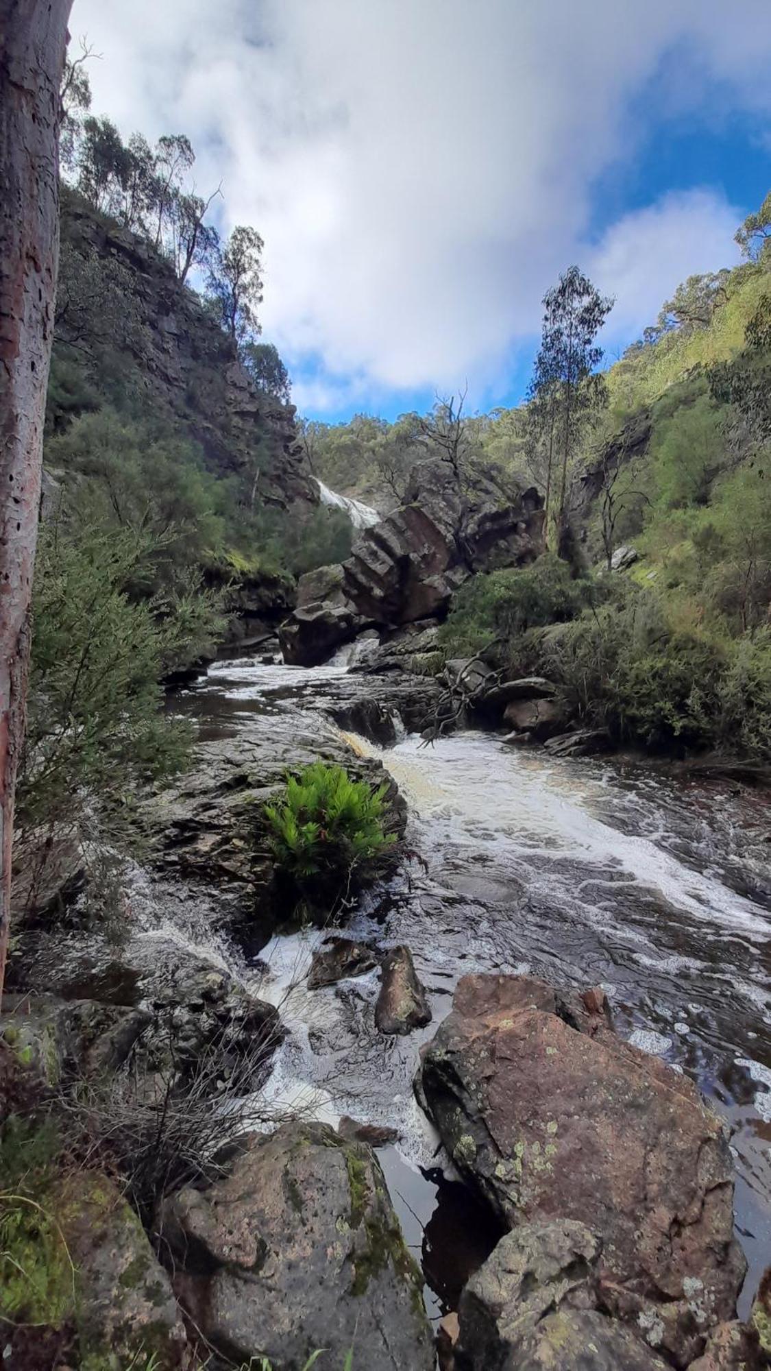 Halls Gap Motel Dış mekan fotoğraf