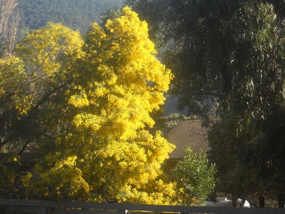 Halls Gap Motel Dış mekan fotoğraf