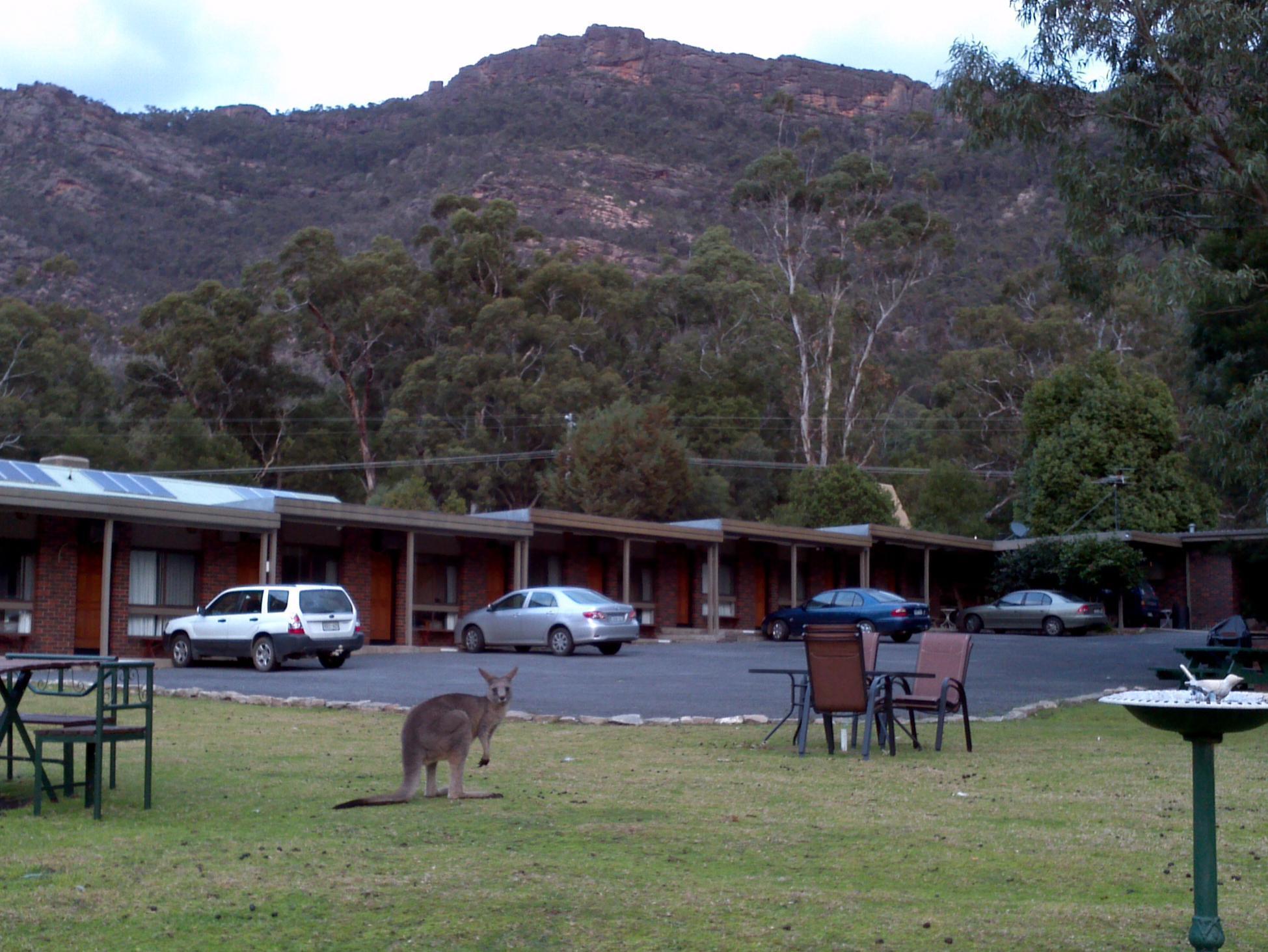 Halls Gap Motel Dış mekan fotoğraf